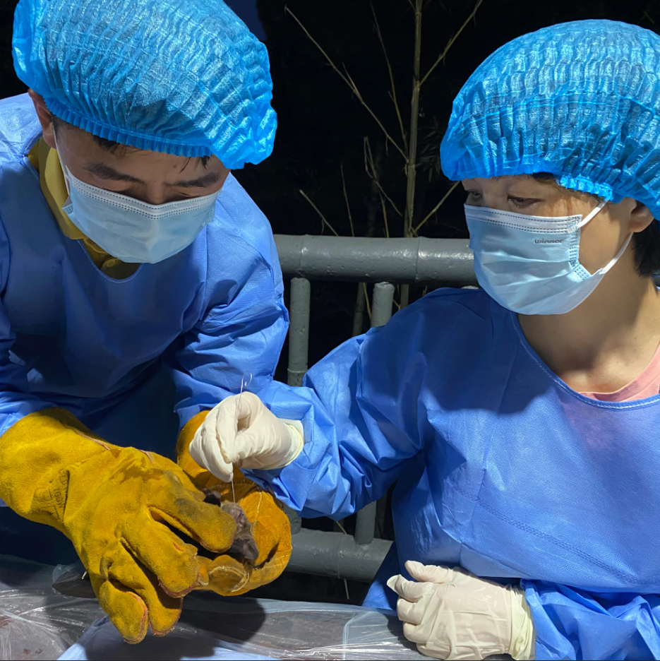 4991 – mồi lửa châm ngòi cho thuyết  rò rỉ phòng thí nghiệm của Lệ (Phần 3)