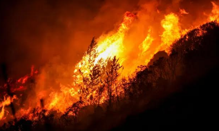 Các yếu tố xã hội đóng vai trò quan trọng trong nhiều sự kiện thời tiết khắc nghiệt