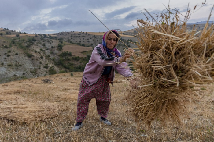 Khám phá gốc gác của những “nông dân” đầu tiên
