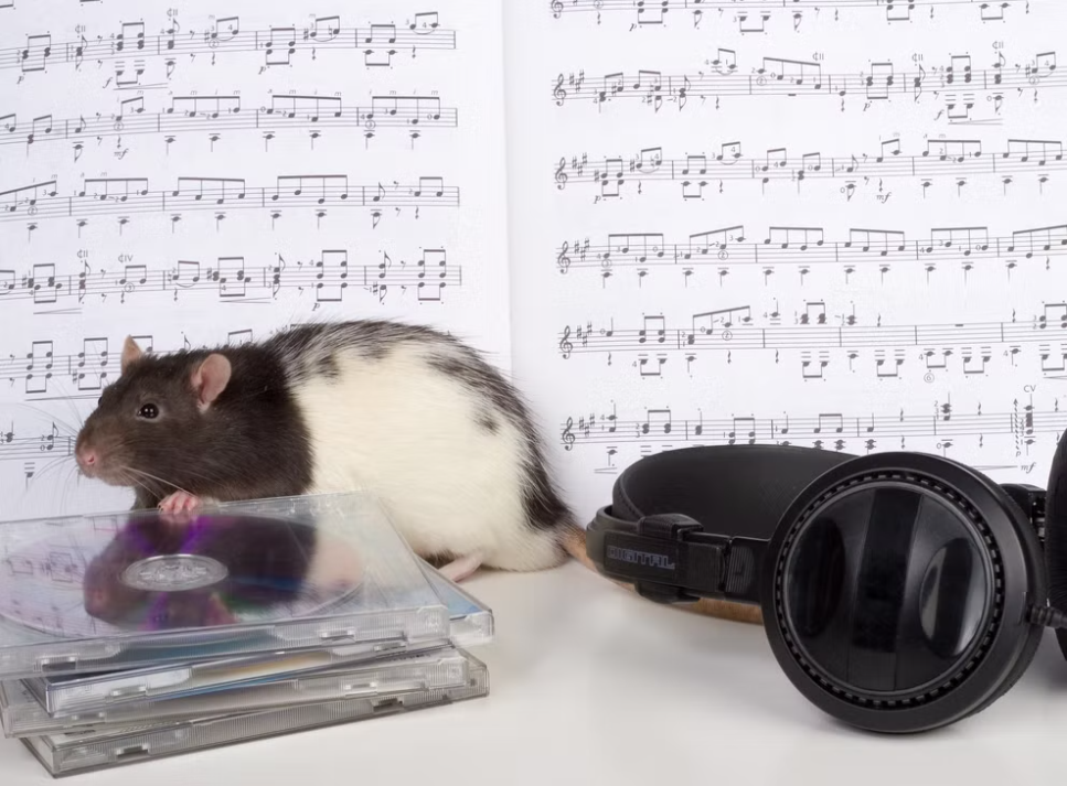 Lần đầu tiên thể hiện sự đồng bộ hóa nhịp bẩm sinh ở động vật