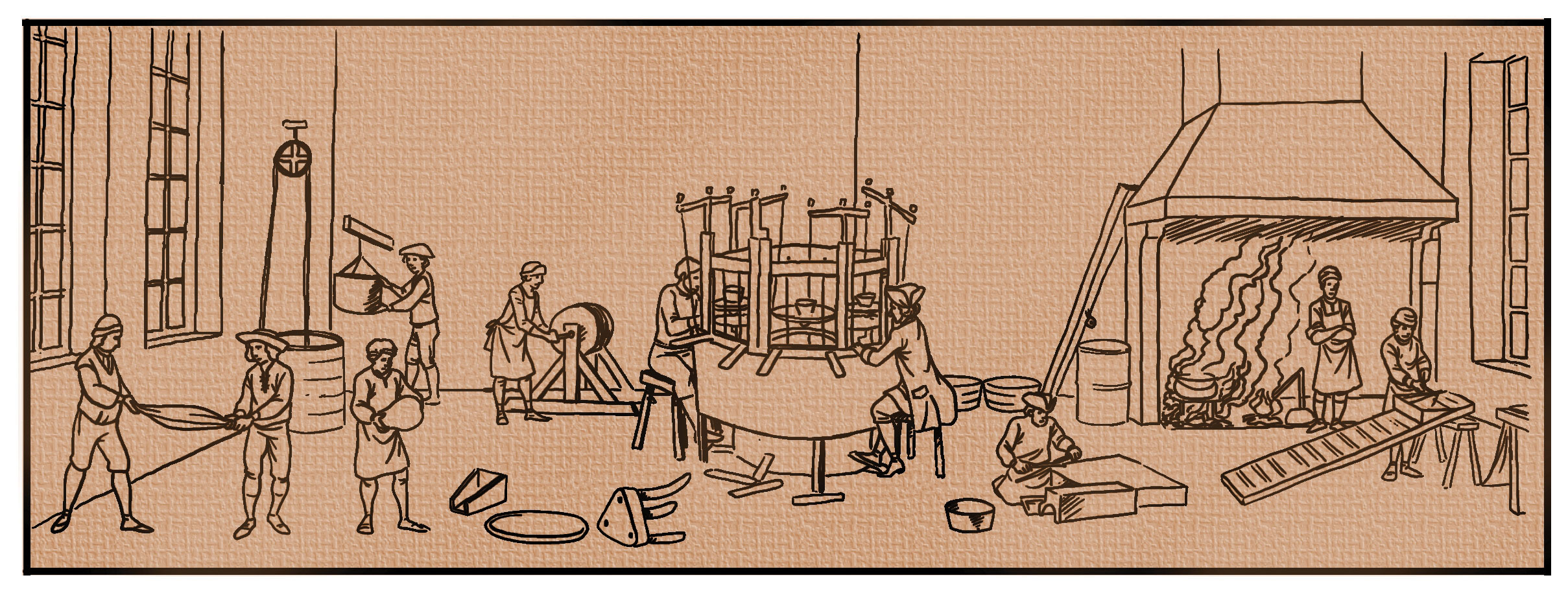 Phân công lao động ở động vật: Điều kỳ lạ của tự nhiên