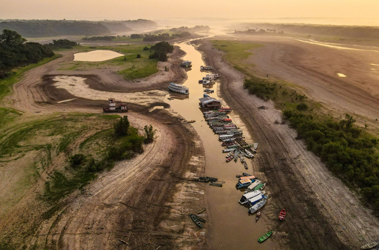 2024: Dự đoán 10 xu hướng khoa học