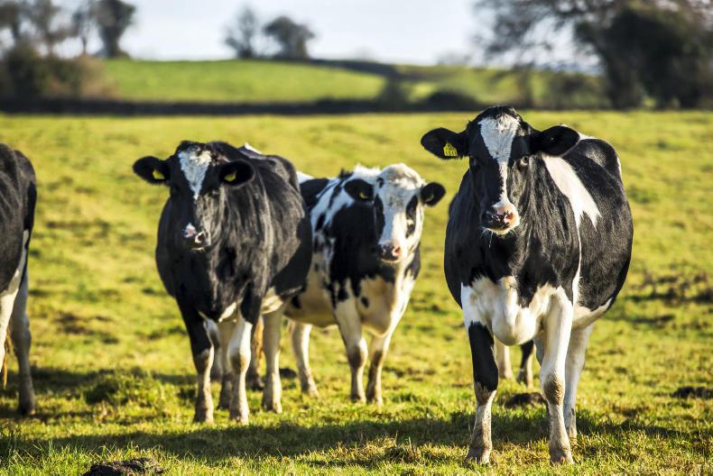 Phát thải oxit nitơ tăng do nhu cầu về thịt và phân bón