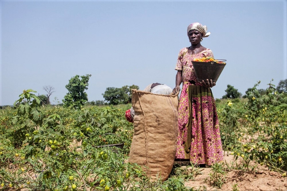Tại sao phải nộp thuế? Nghiên cứu tìm ra sự thật: chính phủ là chìa khóa