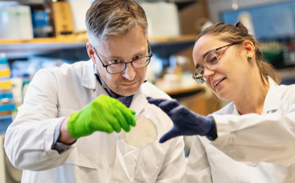 Startup Apriligen: Liệu pháp gene cho rối loạn máu hiếm gặp