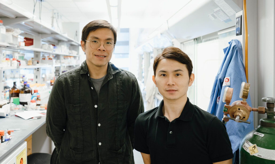 Kỹ thuật tổng hợp mới cắt giảm thời gian và chi phí phát triển thuốc