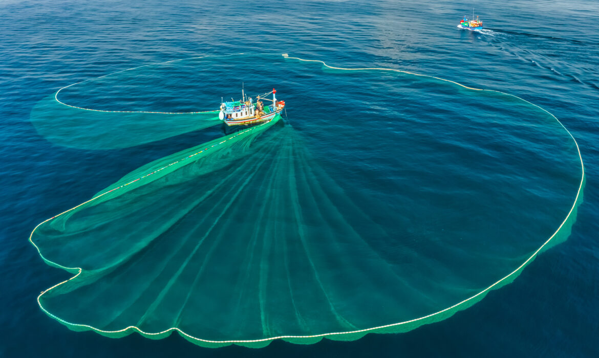 Mô hình kinh doanh sáng tạo trong kinh tế biển: Những niềm hy vọng