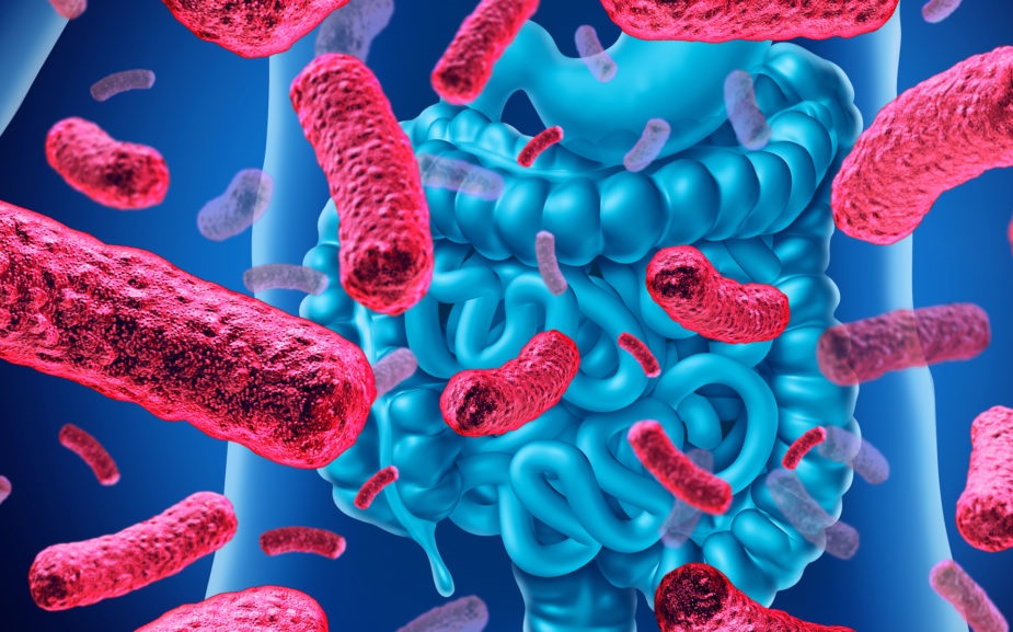 Thực phẩm giàu chất xơ có thể giúp ngăn sự tăng trưởng của vi khuẩn đường ruột có hại