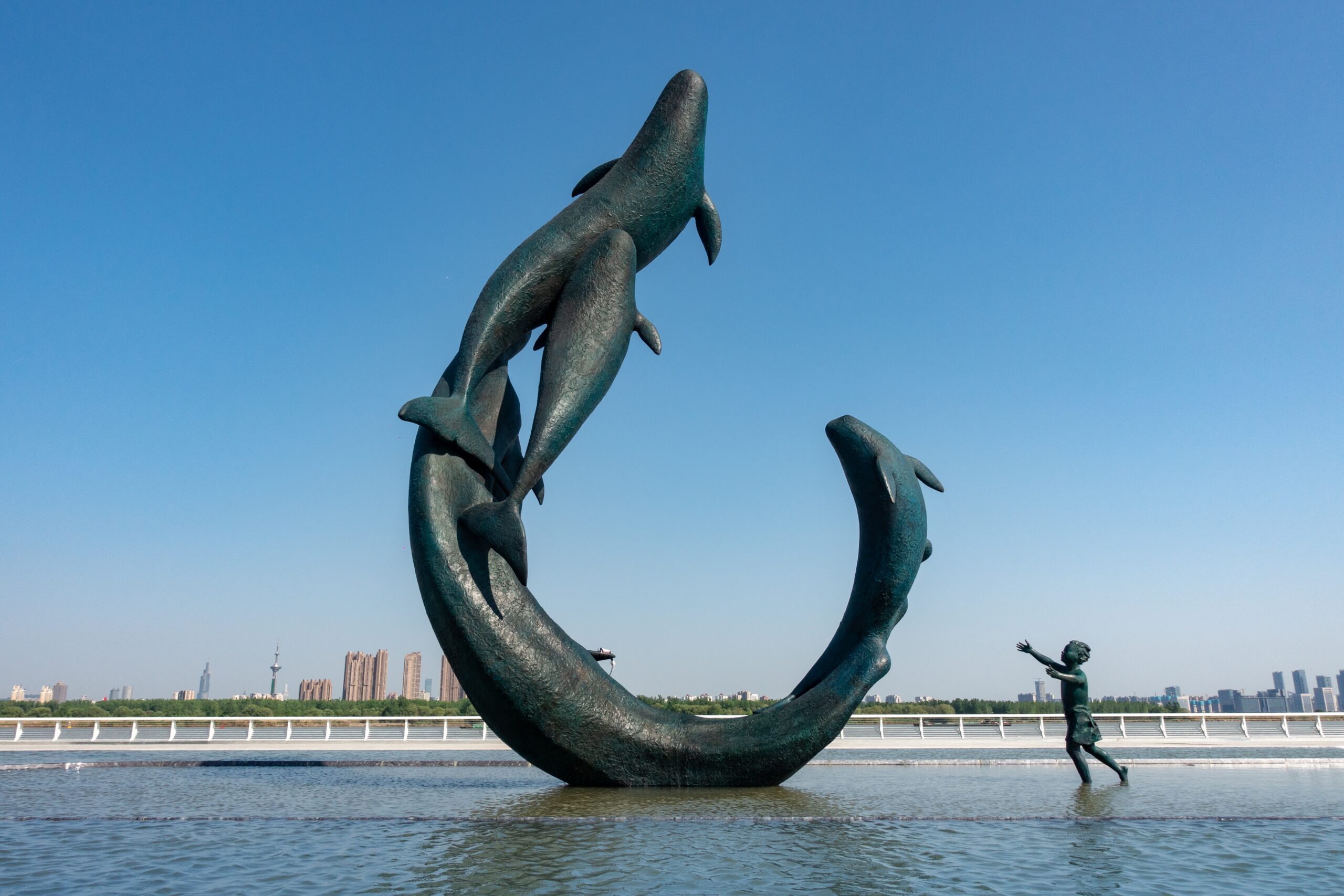 Cổ thi mở cánh cửa về quá khứ của cá heo không vây sông Dương Tử