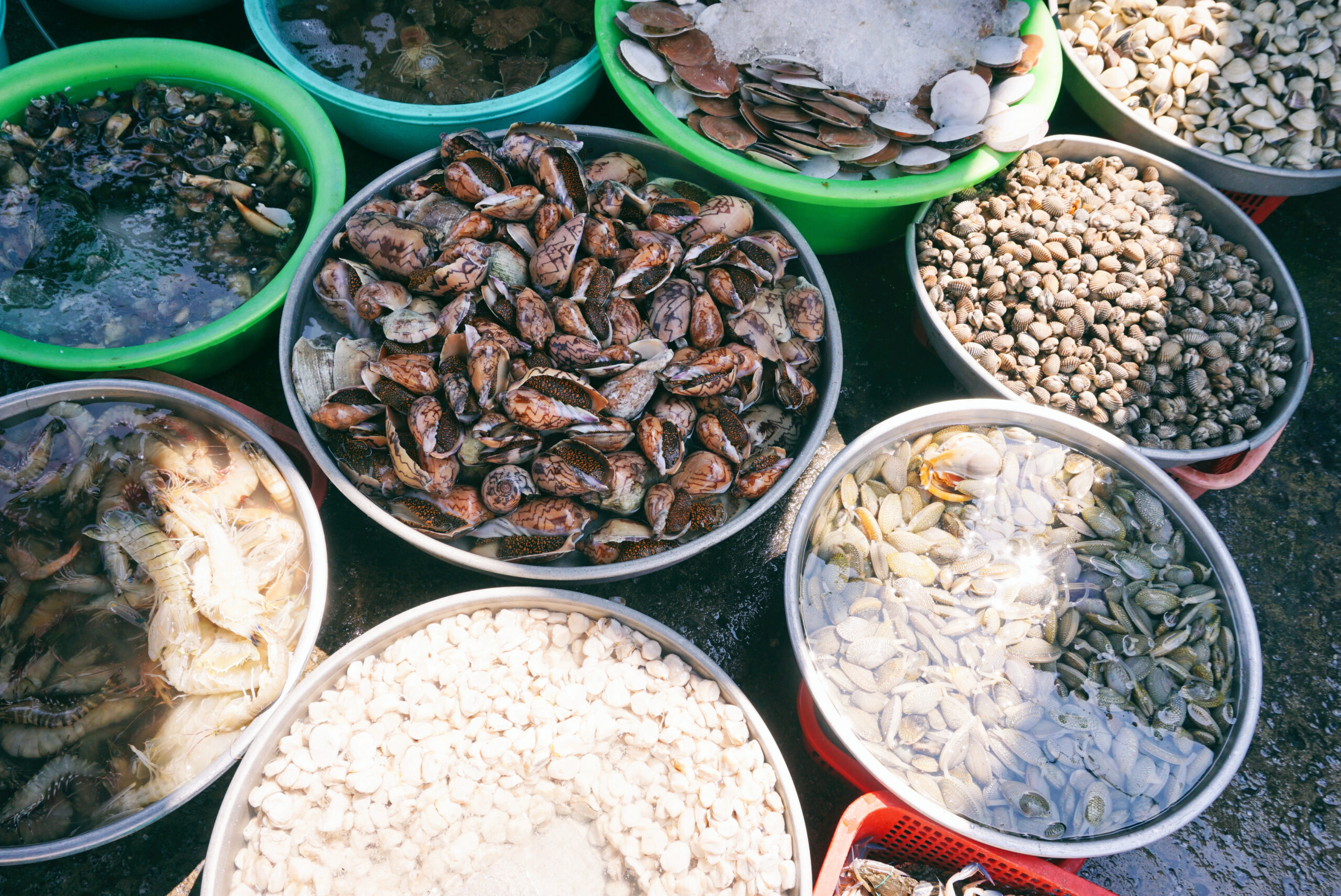 Đánh giá nguy cơ rủi ro sức khỏe khi ăn sò vẹm có vi nhựa