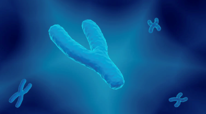 Mất nhiễm sắc thể Y khiến ung thư trở nên nguy hiểm hơn