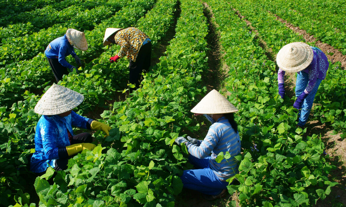 Sóng nhiệt tái định hình đói nghèo 