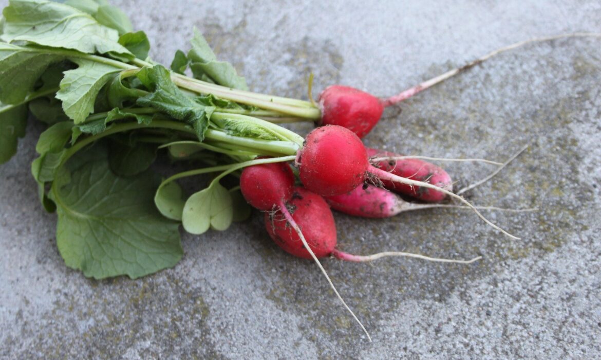 Bằng chứng đầu tiên về các hạt nano nhựa tích tụ trong những phần ăn được của rau củ