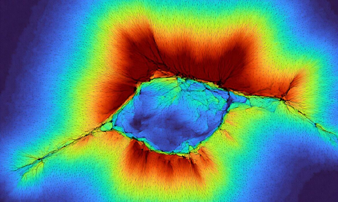 Làm việc cùng nhau, các tế bào có thể cảm nhận vượt khỏi môi trường của mình