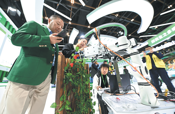 Ngoài kia, gió đang thổi…