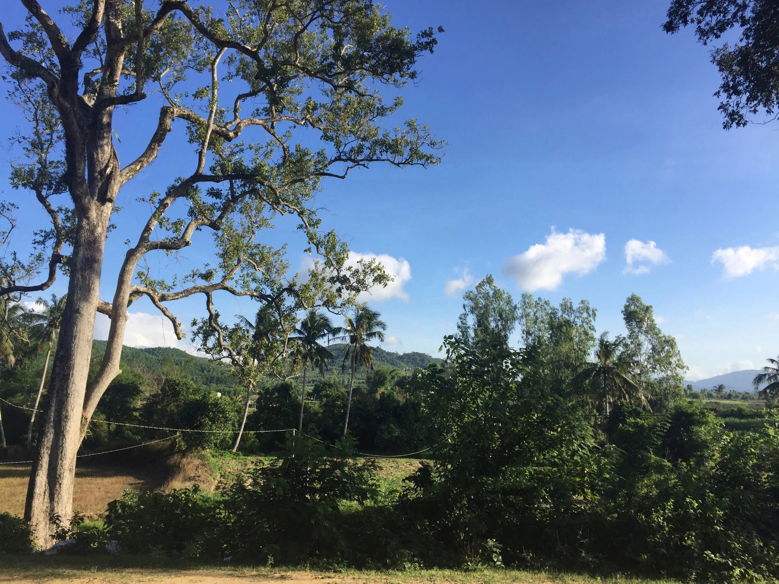 Một lịch sử khác vùng biên viễn