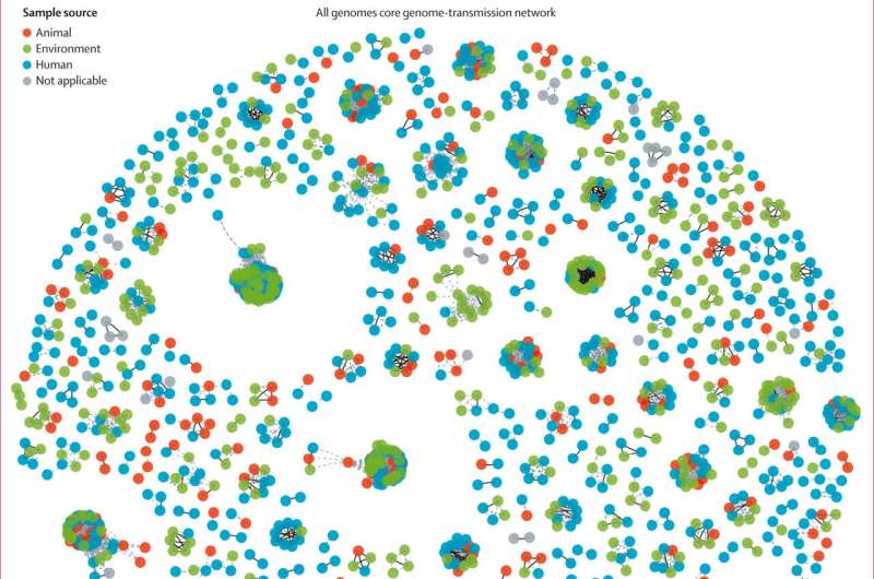 Gene và vi khuẩn kháng kháng sinh có thể di chuyển tự do giữa con người, động vật và môi trường
