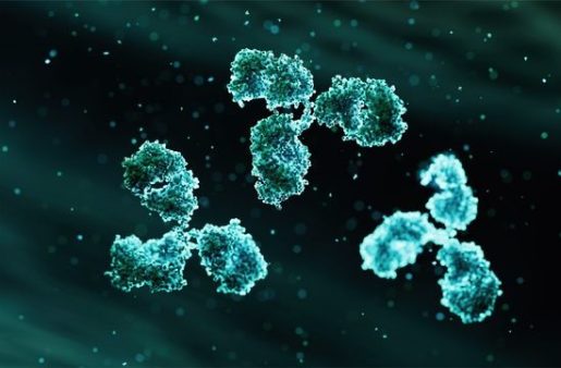 Thiết kế kháng thể để hướng dẫn tế bào miễn dịch chống lại các dạng ung thư khó điều trị