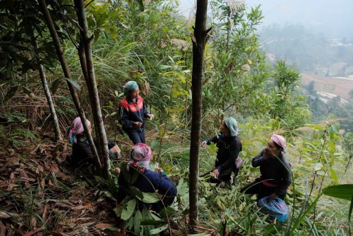 Khi người miền núi ‘kể chuyện’ di sản bằng công nghệ số